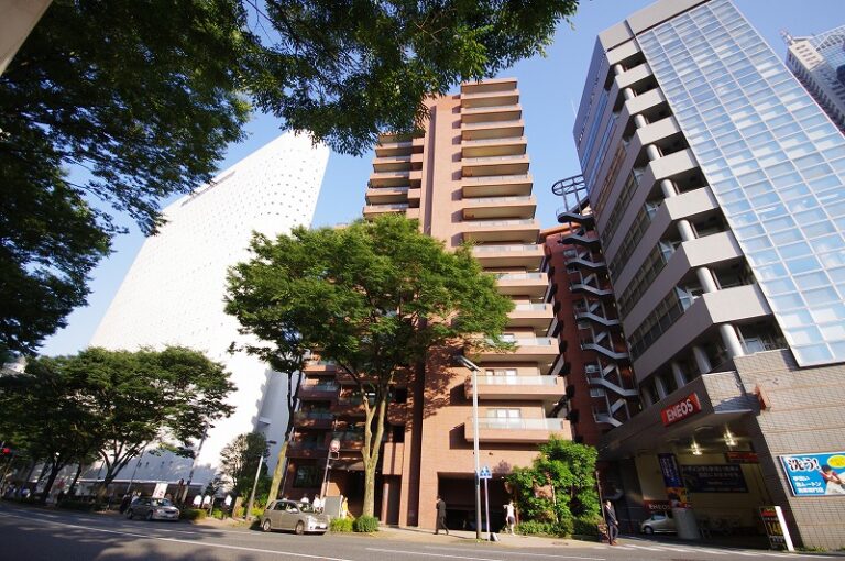 ファミール西新宿 901(65)