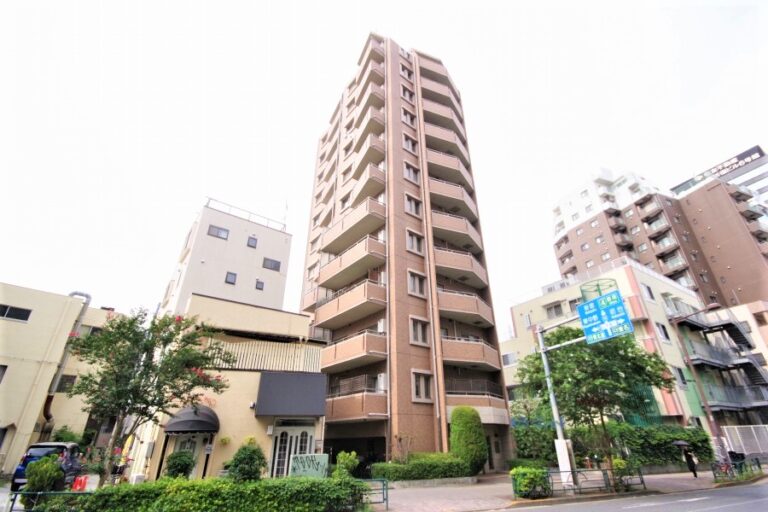 アイディコート新宿西アルテ (1)