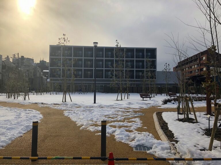 幡ヶ谷ひだまり公園-1